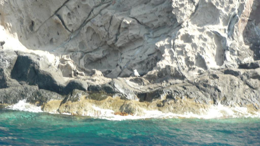 La Casa Del Pescatore Pecorini Exteriér fotografie
